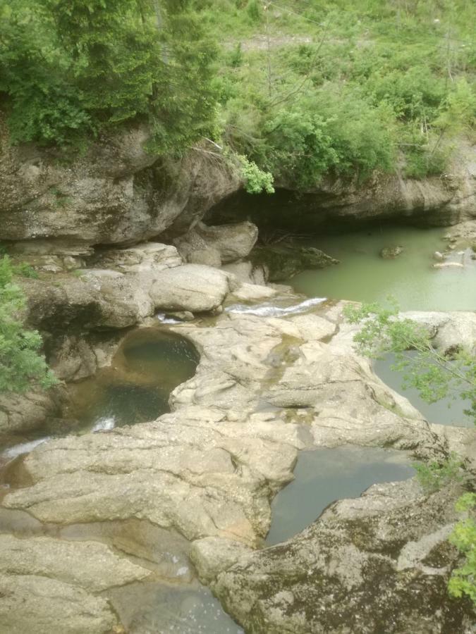 Ferienwohnung Gipfelblick Oberreute Dış mekan fotoğraf